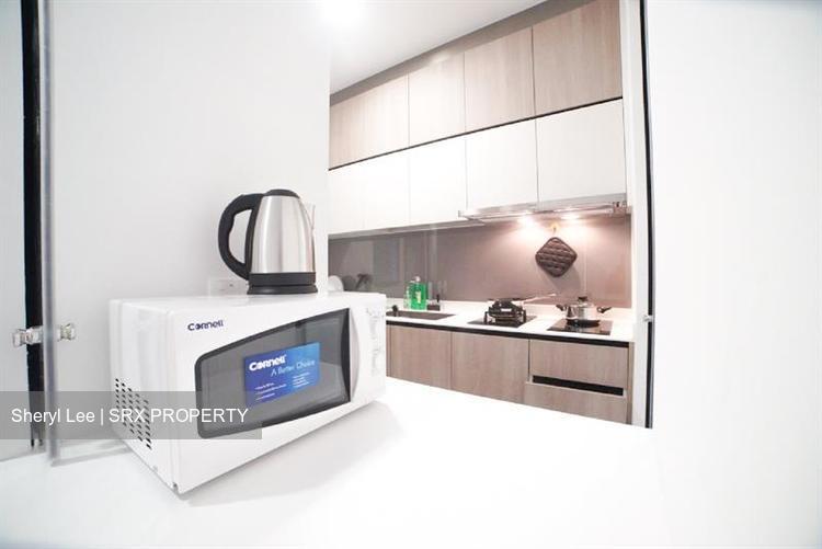 Sturdee Residences (D8), Condominium #227557901